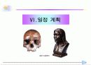 화석전시기획서 38페이지