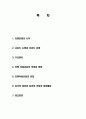 티벳과 중국의 분쟁의 원인 및 내용조사 2페이지