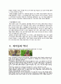 피어싱의 부작용조사 3페이지