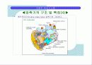 자동차 공조 시스템 22페이지