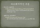 Embeded Router System 11페이지