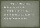Embeded Router System 16페이지