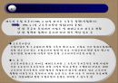 산재보험 제도의 이해 19페이지