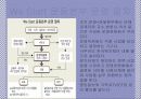 We_Start_운동에_대한_조사 7페이지