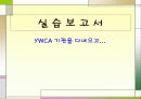 실습보고서 YWCA를 다녀와서 1페이지