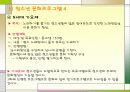 실습보고서 YWCA를 다녀와서 25페이지
