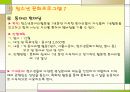 실습보고서 YWCA를 다녀와서 29페이지