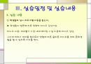 실습보고서 YWCA를 다녀와서 50페이지