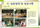 실습보고서 YWCA를 다녀와서 63페이지