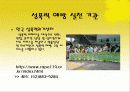 [여성복지]여성 성폭력 미혼모 가정폭력 9페이지