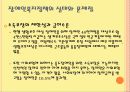 [사회복지개론 발표] 장애인복지 조사 12페이지