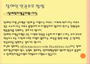 [사회복지개론 발표] 장애인복지 조사 17페이지