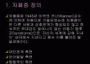 학습장애&자폐증발표 12페이지