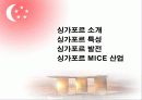 싱가포르에 대한 정보와 mice 산업 3페이지