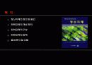 정신지체학생의 전환교육 3페이지