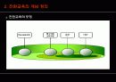 정신지체학생의 전환교육 9페이지
