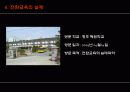 정신지체학생의 전환교육 14페이지