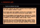정신지체학생의 전환교육 19페이지