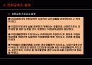 정신지체학생의 전환교육 23페이지