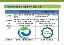 친환경 디자인 & 그린 마케팅 전략의 이해 12페이지