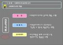 사회복지개론 13페이지