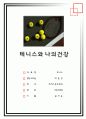 (대학생) 테니스레포트 1페이지