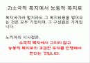 복지국가란 무엇인가 최종 발표원고 31페이지