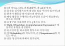 10.9 FIM발표자료(FIM 발표+FIM과 MBI의 비교) 4페이지