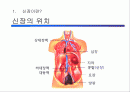 혈액 투석 교실(Hemodialysis) 2페이지