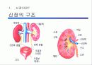 혈액 투석 교실(Hemodialysis) 3페이지
