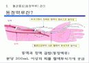 혈액 투석 교실(Hemodialysis) 13페이지