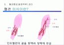 혈액 투석 교실(Hemodialysis) 14페이지