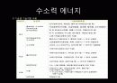 도시계획 생태에너지 도시(해양 조력 지열) 25페이지