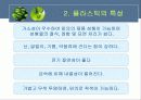 플라스틱의 특성과 분류 4페이지