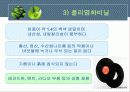 플라스틱의 특성과 분류 8페이지