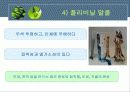플라스틱의 특성과 분류 9페이지