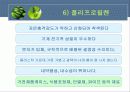 플라스틱의 특성과 분류 11페이지