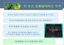 플라스틱의 특성과 분류 17페이지