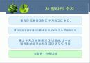 플라스틱의 특성과 분류 18페이지