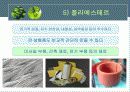 플라스틱의 특성과 분류 20페이지