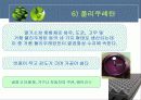 플라스틱의 특성과 분류 21페이지