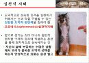 아리스토텔레스[최종] 23페이지