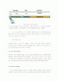 (A+ 레포트, 정보통신) IPv6 주소체계의 개념과 기술적 구조 7페이지