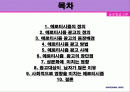 에로티시즘 광고의 개념과 영향 사례 2페이지