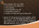 우리나라의 지역경찰활동과 외국의 지역경찰활동의 비교및 사례 10페이지