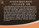 우리나라의 지역경찰활동과 외국의 지역경찰활동의 비교및 사례 11페이지
