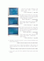 오실로스코프 및 함수 발생기 동작 (결과 레포트) 3페이지