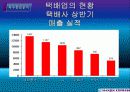 한진택배 경쟁력향상방안 10페이지