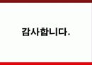 비너스 & 비비안 브랜드 전격비교 29페이지