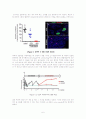 Conversion of adult pancreatic α-cells to β -cells after extreme β -cell loss 6페이지